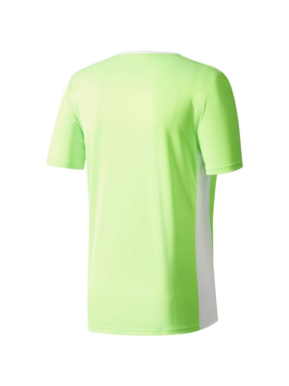 Adidas Entrada 18 Jersey JUNIOR futbolo marškinėliai vaikams, šviežiai žali CE9755 1 Adidas Entrada 18 Jersey JUNIOR futbolo marškinėliai vaikams, šviežiai žali CE9755 1