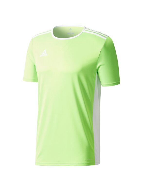 Adidas Entrada 18 Jersey JUNIOR futbolo marškinėliai vaikams, šviežiai žali CE9755 Adidas Entrada 18 Jersey JUNIOR futbolo marškinėliai vaikams, šviežiai žali CE9755