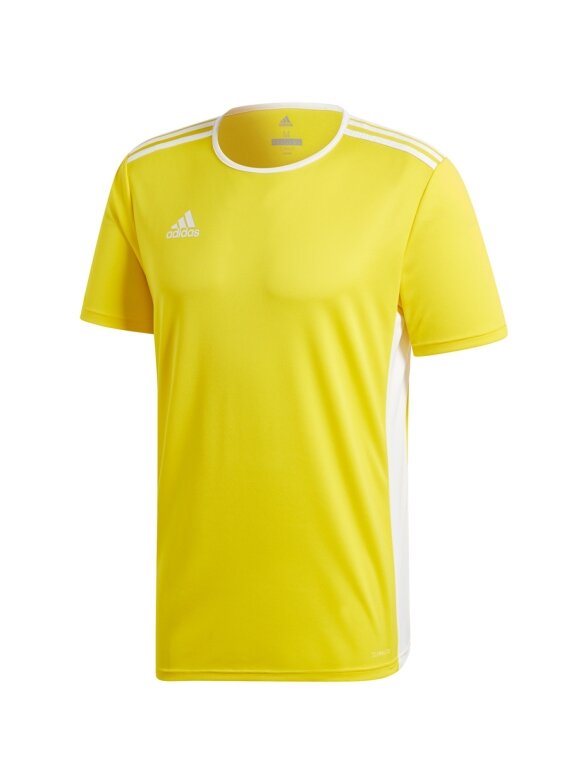Adidas Entrada 18 Jersey JUNIOR vaikiška geltonos spalvos futbolo marškinėliai CF1039