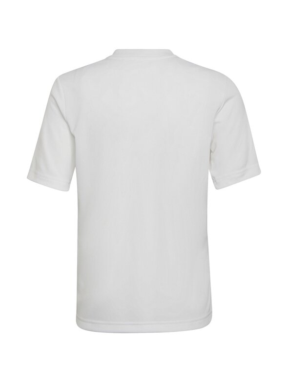 Adidas Entrada 22 Graphic Jersey vaikiški marškinėliai, balti ir pilki HF0120 1