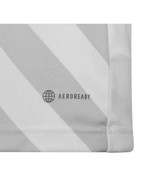 Adidas Entrada 22 Graphic Jersey vaikiški marškinėliai, balti ir pilki HF0120 3
