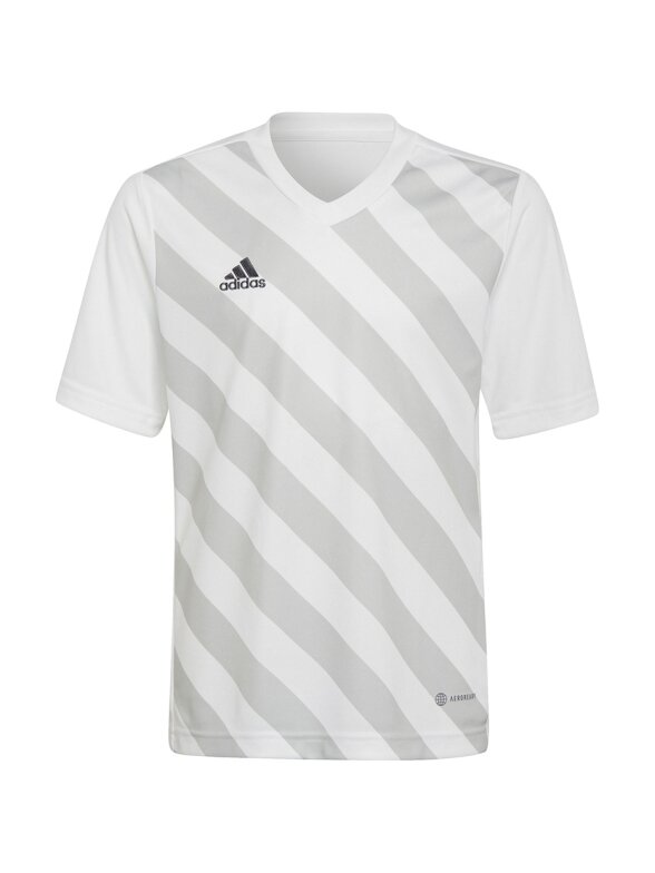 Adidas Entrada 22 Graphic Jersey vaikiški marškinėliai, balti ir pilki HF0120