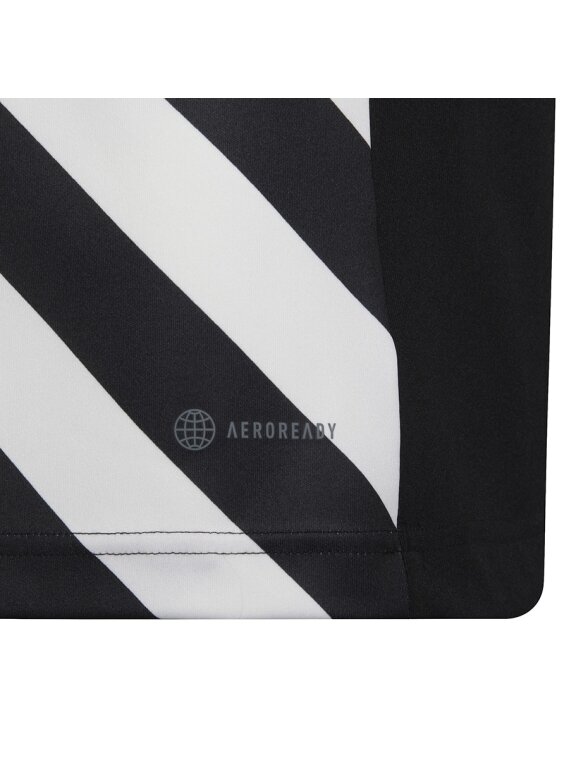 Adidas Entrada 22 Graphic Jersey vaikiški marškinėliai, juodai balti HF0123 3