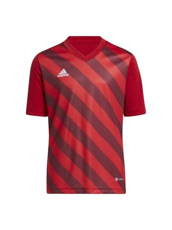 Adidas Entrada 22 Graphic Jersey vaikiški marškinėliai, raudoni H58983 Adidas Entrada 22 Graphic Jersey vaikiški marškinėliai, raudoni H58983