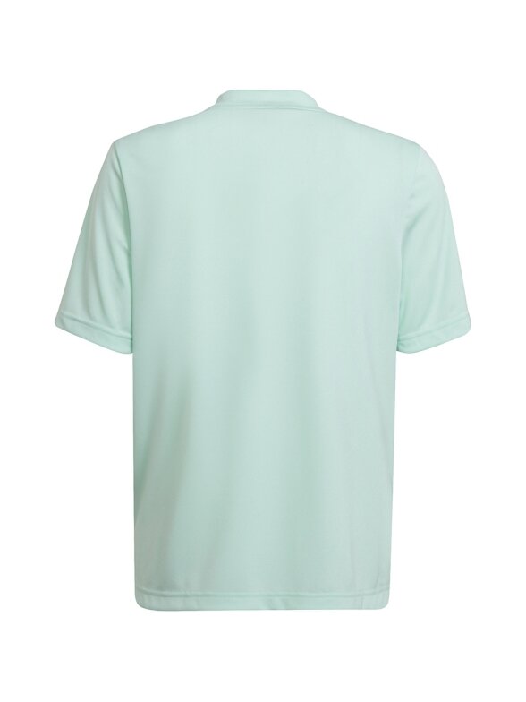 Adidas Entrada 22 Graphic Jersey vaikiški marškinėliai mėtų pilkumo HF0127 1 Adidas Entrada 22 Graphic Jersey vaikiški marškinėliai mėtų pilkumo HF0127 1