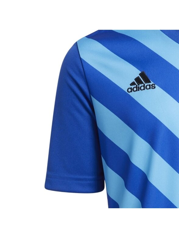 Adidas Entrada 22 Graphic Jersey vaikiški marškinėliai, mėlyni HF0130 2
