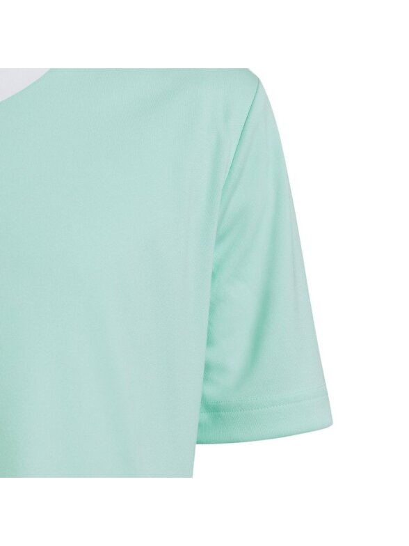 Vaikiški marškinėliai adidas Entrada 22 Jersey mint HC5078 2