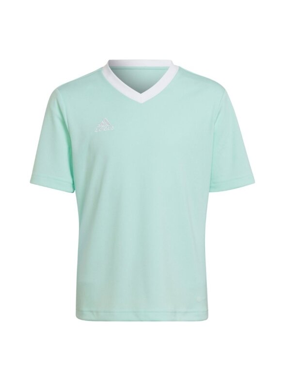 Vaikiški marškinėliai adidas Entrada 22 Jersey mint HC5078 Vaikiški marškinėliai adidas Entrada 22 Jersey mint HC5078