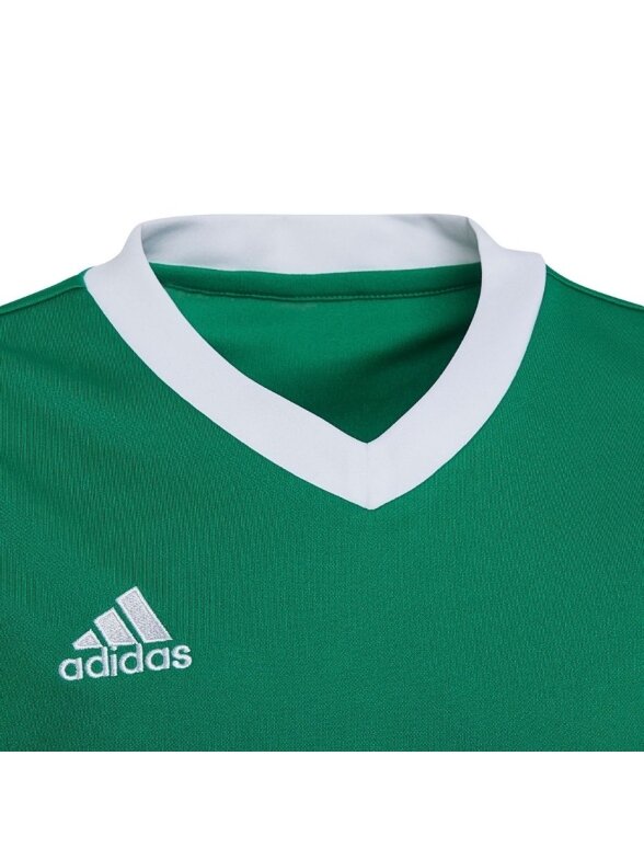 Adidas Entrada 22 Jersey vaikiški marškinėliai, žali HI2126 2