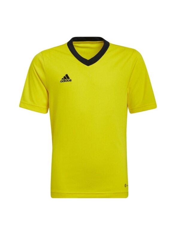 Adidas Entrada 22 Jersey vaikiški marškinėliai, geltoni HI2127