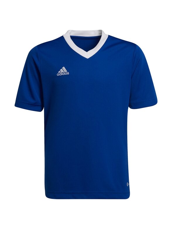 Adidas Entrada 22 Jsy vaikiški marškinėliai, mėlyni HG3948