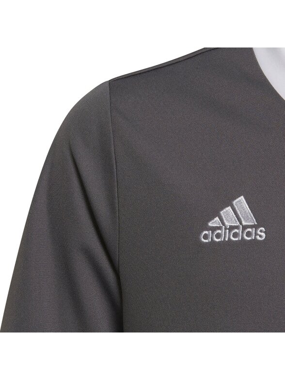 Adidas Entrada 22 Jsy vaikiški marškinėliai, pilki H57499 2