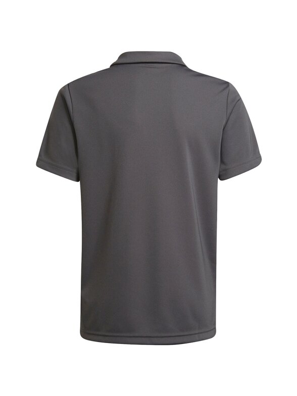 Adidas Entrada 22 Polo vaikiški marškinėliai, pilki H57485 1