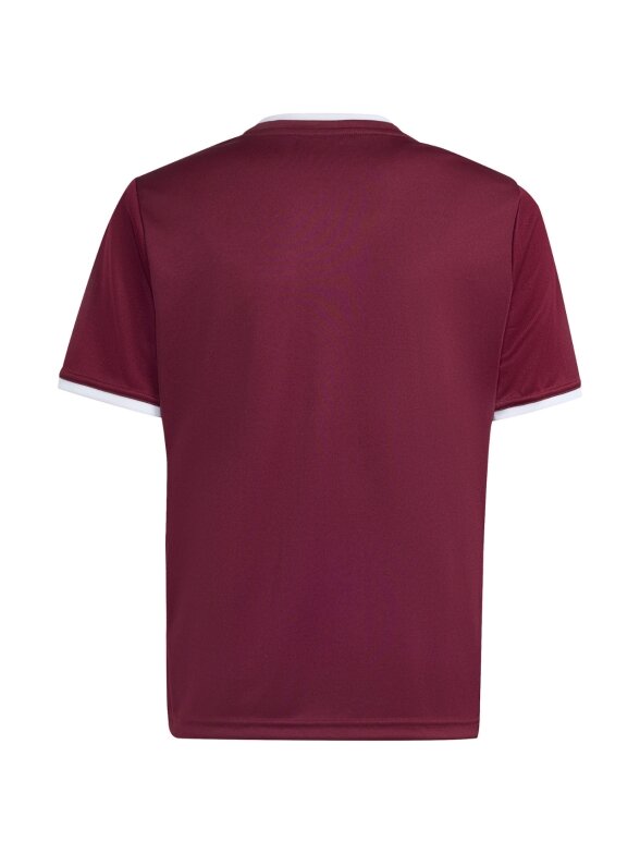 Adidas Entrada 26 Jersey marškinėliai vaikams bordo spalvos JZ2530 2