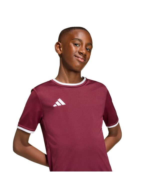 Adidas Entrada 26 Jersey marškinėliai vaikams bordo spalvos JZ2530 6