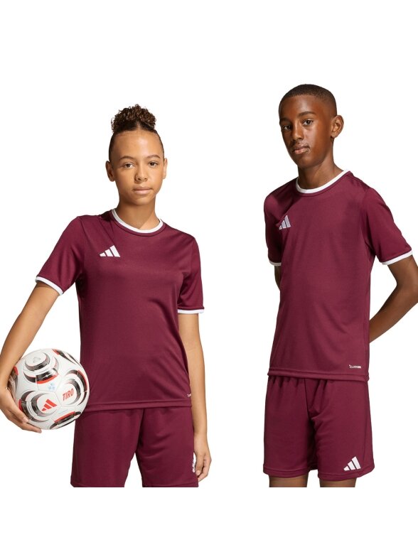 Adidas Entrada 26 Jersey marškinėliai vaikams bordo spalvos JZ2530