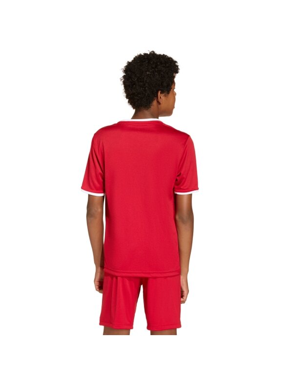 Adidas Entrada 26 Jersey vaikiški marškinėliai raudoni JZ2523 2 Adidas Entrada 26 Jersey vaikiški marškinėliai raudoni JZ2523 2