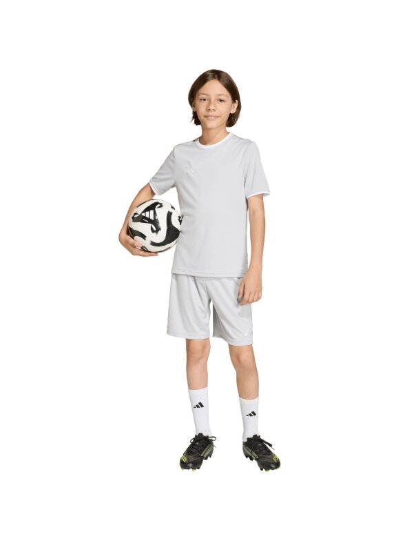 Adidas Entrada 26 Jersey marškiniai vaikams pilki JZ2525 6