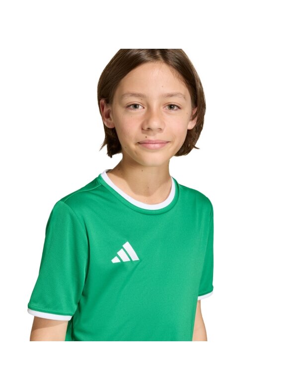 Adidas Entrada 26 Jersey vaikiški marškinėliai, žali JZ2528 3