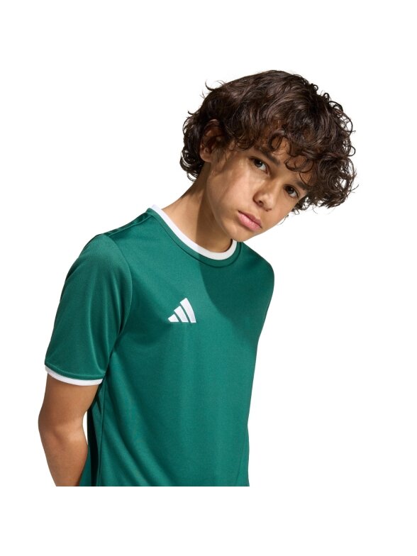 Adidas Entrada 26 Jersey marškinėliai vaikams žali KE9834 5 Adidas Entrada 26 Jersey marškinėliai vaikams žali KE9834 5