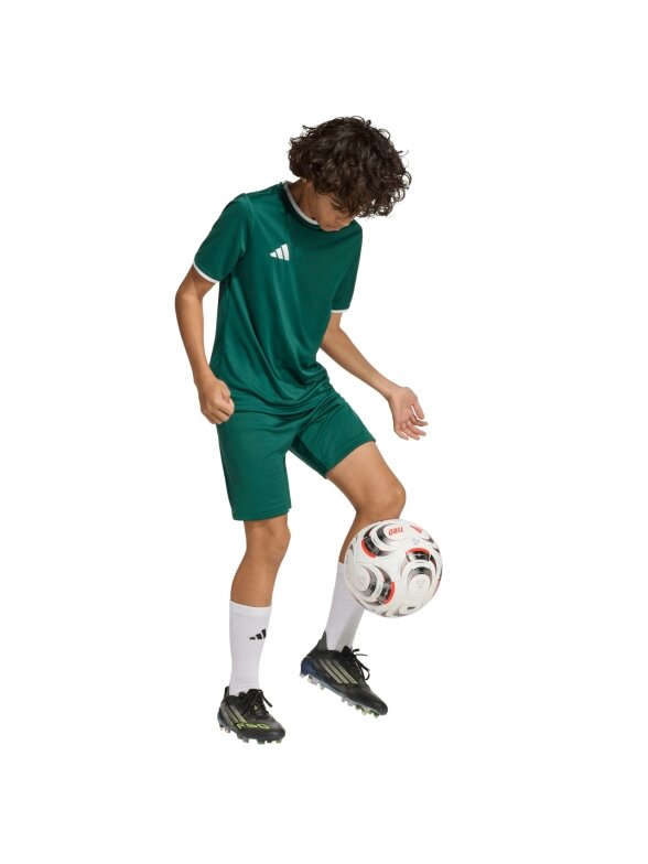 Adidas Entrada 26 Jersey marškinėliai vaikams žali KE9834 7 Adidas Entrada 26 Jersey marškinėliai vaikams žali KE9834 7