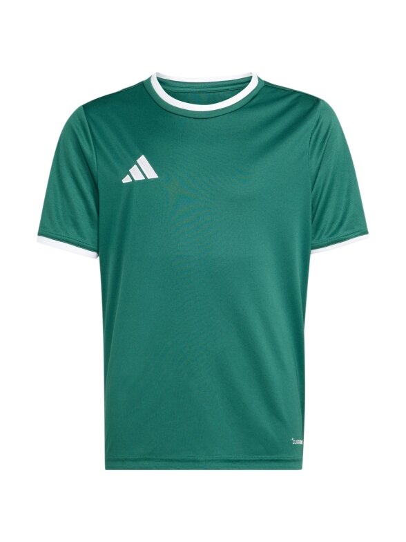 Adidas Entrada 26 Jersey marškinėliai vaikams žali KE9834 1