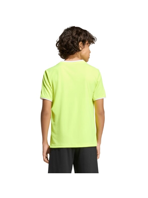 Adidas Entrada 26 Jersey marškinėliai vaikams neoninė geltona KE9845 2