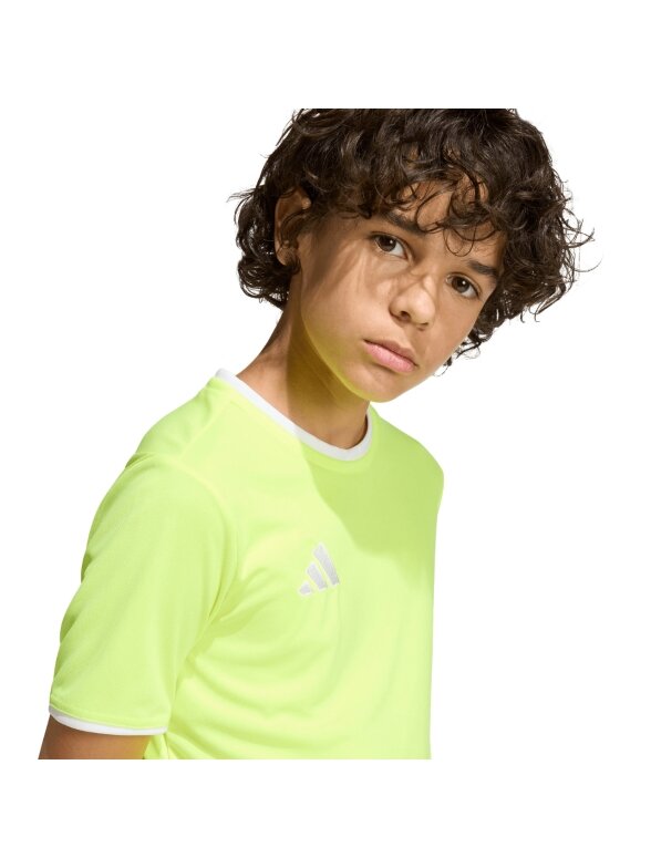 Adidas Entrada 26 Jersey marškinėliai vaikams neoninė geltona KE9845 3 Adidas Entrada 26 Jersey marškinėliai vaikams neoninė geltona KE9845 3