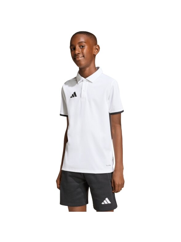 Adidas Entrada 26 Polo marškinėliai vaikams balti JZ6624 3 Adidas Entrada 26 Polo marškinėliai vaikams balti JZ6624 3