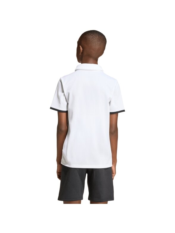 Adidas Entrada 26 Polo marškinėliai vaikams balti JZ6624 4