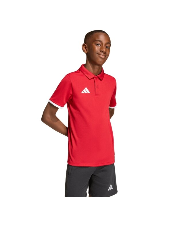 Adidas Entrada 26 Polo marškinėliai vaikams raudoni JZ6626 3
