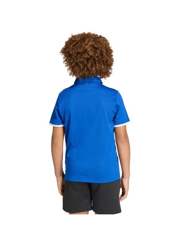 Adidas Entrada 26 Polo marškinėliai vaikams mėlyni JZ6625 4