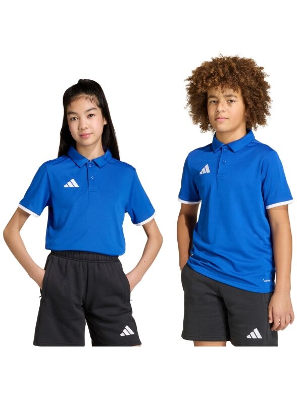 Adidas Entrada 26 Polo marškinėliai vaikams mėlyni JZ6625