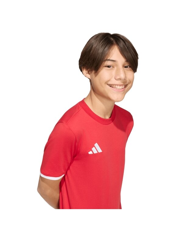 Adidas Entrada 26 Tee marškinėliai vaikams raudoni JZ6674 5