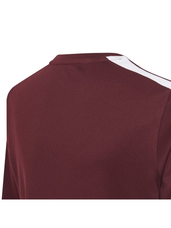 Adidas Squadra 21 Jersey Jaunimo marškinėliai, bordo GN8090 3 Adidas Squadra 21 Jersey Jaunimo marškinėliai, bordo GN8090 3