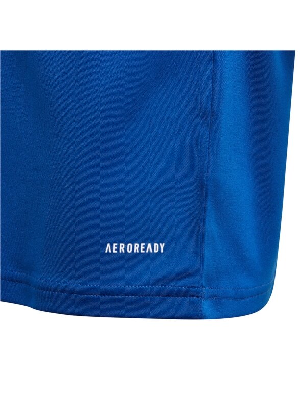 Adidas Squadra 21 Jersey Jaunimo marškinėliai, mėlyni GK9151