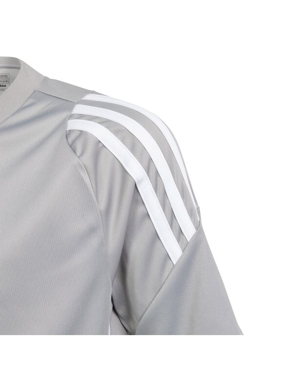 Adidas Tiro 24 Jersey vaikiški marškinėliai, pilki IS1031 3