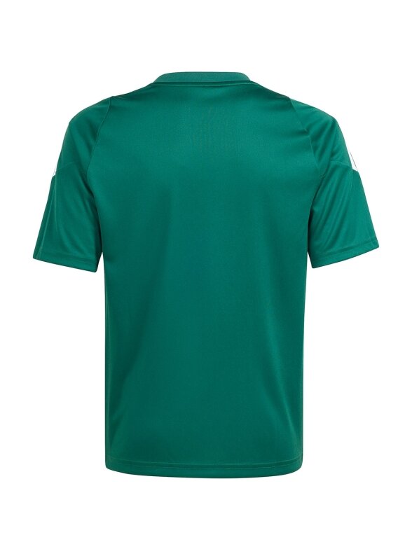 Adidas Tiro 24 Jersey vaikiški marškinėliai, žali IS1028 1 Adidas Tiro 24 Jersey vaikiški marškinėliai, žali IS1028 1