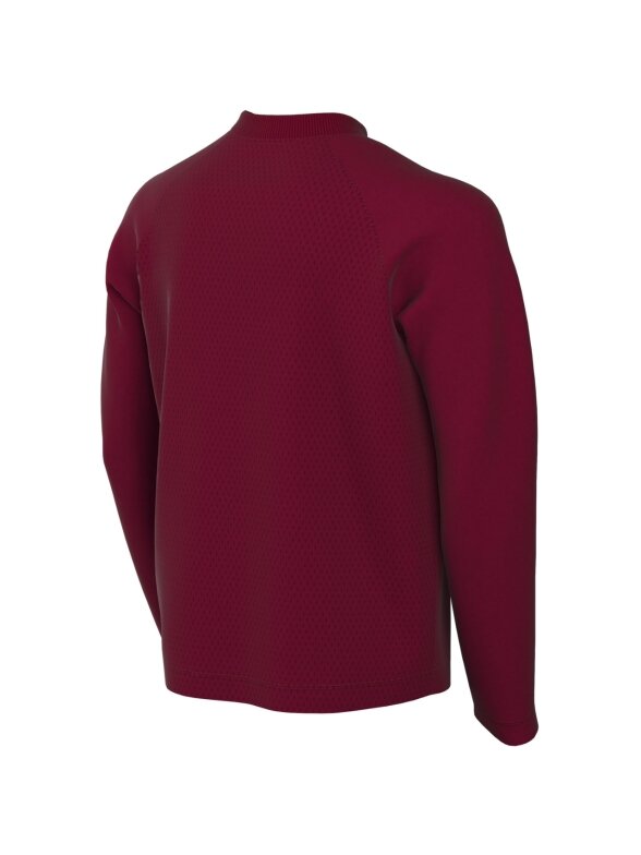 Nike Dri-Fit Park VIII ilgomis rankovėmis marškinėliai vaikams bordo HV8239 677 1