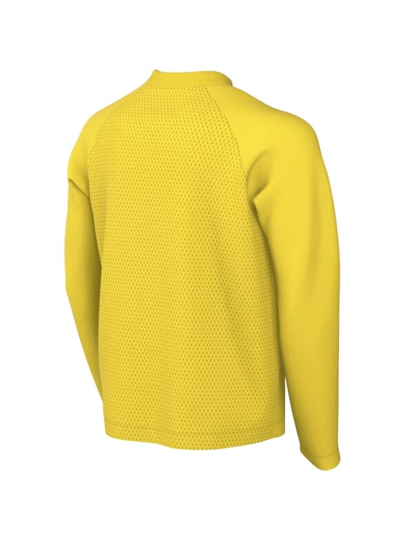 Nike Dri-Fit Park VIII vaikiški marškinėliai ilgomis rankovėmis, geltoni, HV8239 719 1