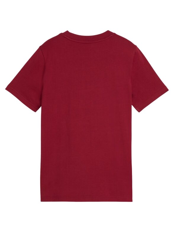 Vaikiški marškinėliai Puma ESS Small No.1 Logo Centreed Tee ruda 692975 23 1
