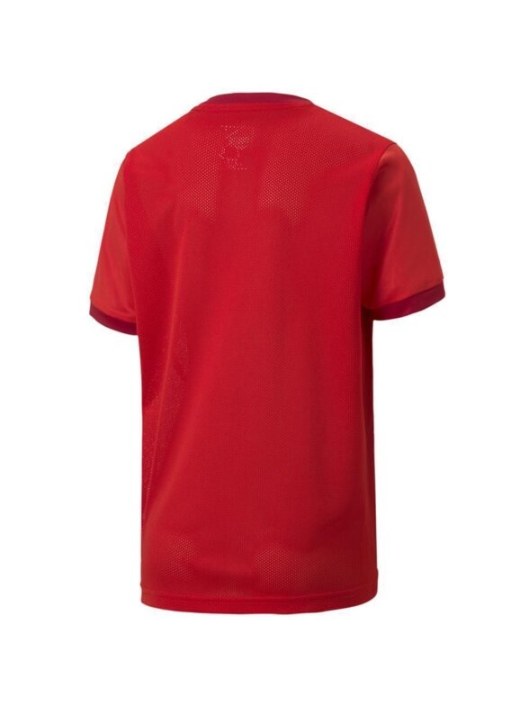Puma teamGOAL 23 Jersey vaikiški marškinėliai raudoni 704160 01 1 Puma teamGOAL 23 Jersey vaikiški marškinėliai raudoni 704160 01 1