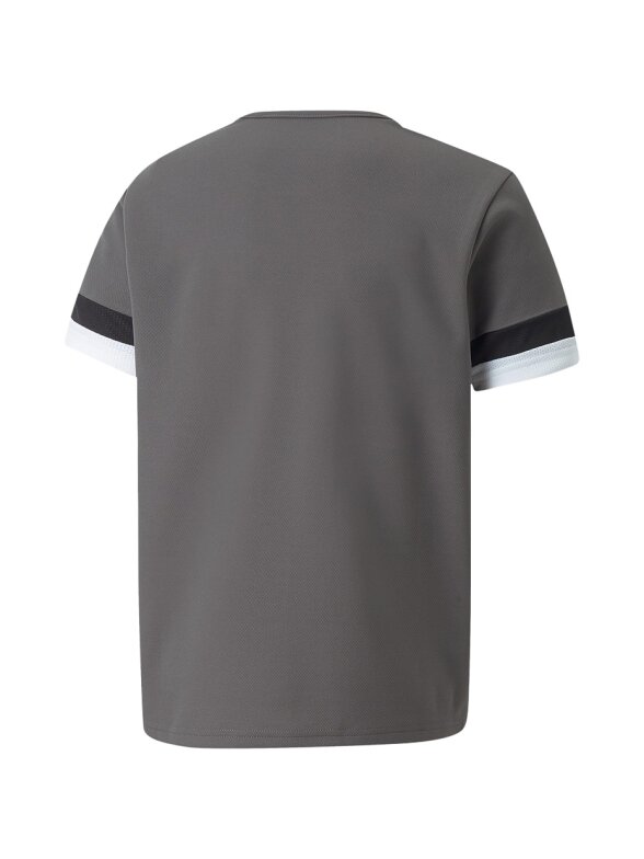 Puma teamRISE Jersey Jr vaikiški marškinėliai, pilki 704938 13 1 Puma teamRISE Jersey Jr vaikiški marškinėliai, pilki 704938 13 1