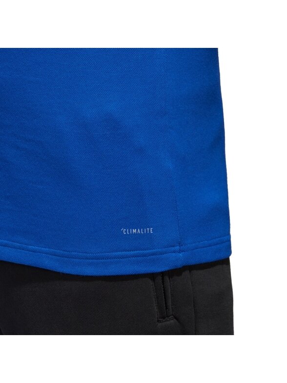Adidas vyriška polo marškinėliai Condivo 18 Cotton mėlyni CF4375 4