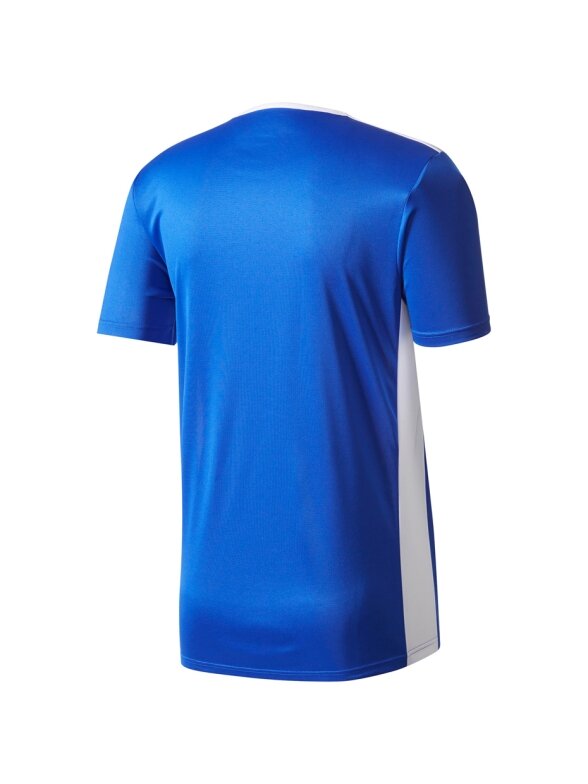 Adidas Entrada 18 Jersey vyrams mėlyna CF1037 2