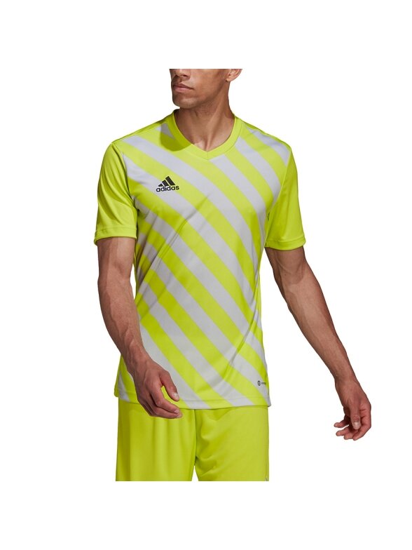 Vyriški marškinėliai Adidas Entrada 22 Graphic Jersey geltonai pilka HF0118 2