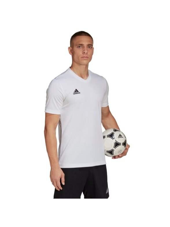 Vyriški marškinėliai Adidas Entrada 22 Jersey, balti HC5071 3 Vyriški marškinėliai Adidas Entrada 22 Jersey, balti HC5071 3