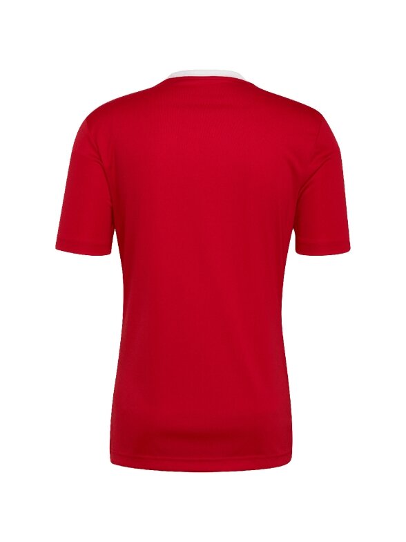 Vyriški marškinėliai Adidas Entrada 22 Jersey red H61736