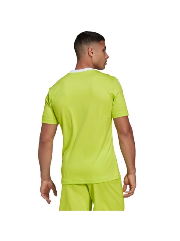 Vyriški marškinėliai adidas Entrada 22 Jersey lime HC5077 1