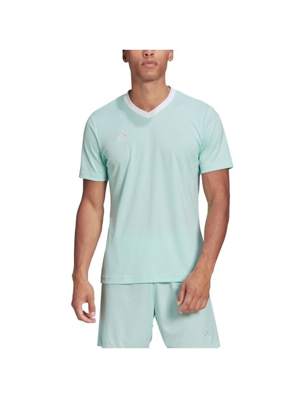 Vyriški marškinėliai adidas Entrada 22 Jersey mint HC5073 4 Vyriški marškinėliai adidas Entrada 22 Jersey mint HC5073 4